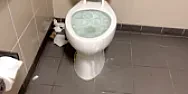 Unlogging a toilet (from the web)  | next thread &raquo;