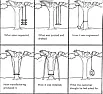 Jewels, Gems, and Just Plain Funny Posts  |  Also, someone, here, long ago, posted this "Project Management" pic, via a link....