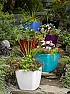 Best type of pots for patio? |  My dwarf citrus was in 18-inch redwood tubs.  Since these can leak from the...