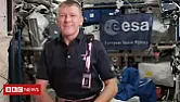 Makes the apprentices look clever  | http://www.bbc.co.uk/news/uk-35178210 