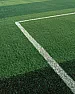 Grass walkways through garden?  | next thread &raquo;