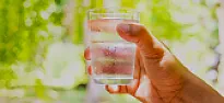 Green growth in filtered water faucet |   I seriously doubt all that stuff is there in the first place. And if it...