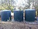 Three enigmas on my hike this morning (ask for your CSI skills)  |  It's a pretty "big" animal that can make that type of semicircular swirl,...