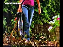 anybody own a leaf blower ? |  IMHO electric one are not powerful enough to suck up most leaves and fail...