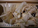 Japanese plane: photographic misadventures | next thread &raquo;