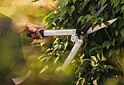 power tool for green wood and where to get |  Recently posted this below in a gardening newsgroup and it was thensuggested I...