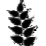 Seeds in the news  |  http://www.ft.com/cms/s/0/451604c4-e30b-11dc-803f-0000779fd2ac.html"Got...