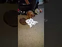 That's Christmas sorted.  | &laquo; previous thread
