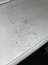 Flakes on counter, floor, and window sill | &laquo; previous thread