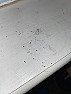 Flakes on counter, floor, and window sill