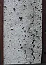 Cracks in concrete fence post: ignore, repair, or ...?  |  When you have dry weather .... wire brush crud out and repair with  concrete...