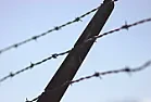 The scout hut roof - barbed wire allowed?  |  At last they have managed to get 3 written quotes to replace the stolen  lead -...