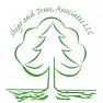 Newbie questions about pruning privet hedge  |  I had no idea of your experience.  I respect that.  Your experience in green...
