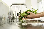lettuce refrigerate why  |  That makes the most sense because nothing is going to make it decay in the short...