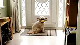 Waiting on the mail man  | next thread &raquo;