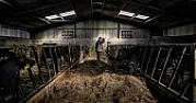 â€˜This Is All We Can Affordâ€™: Shrinking Lives in  the English Countryside  |  ?This Is All We Can Afford?: Shrinking Lives in the English Countryside In...