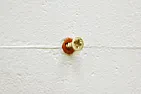 Is it worth buying expensive screws? | &laquo; previous thread
