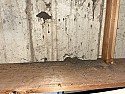 Brown sand coming out basement wall
