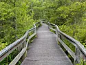 How Do You Make These Cuts In The Field...Or Don't You?  |  I recently took a walk through a conservation area in upstate NY. The following...