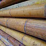 Where to buy wide, thin-walled, bamboo tube?  | &laquo; previous thread