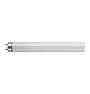 !8" 15w T8 tube.  | next thread &raquo;