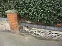 Large Holly Hedge pushing over low wall  |  We have a large holly hedge between our front garden and the pavement.It is...