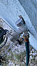 Outdoor spigot leaking from handle when turned on