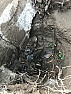 How can I 'burn' an old fence post out?
