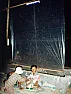 crickets | &laquo; previous thread
