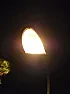 CDM-T lighting |  I just improved the local shops spirts display lighting.  The old girl on the...
