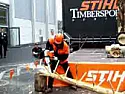 reccomendations for budget chainsaw for firewood chopping? | &laquo; previous thread