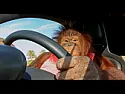 EV Drivers... | next thread &raquo;