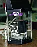 diesel exhaust fluid |  I'm not sure how other manufacturers are doing it, but Sprinters have two...
