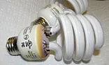 CFLs can catch fire. Murder, death, kill. Your dog, too. | next thread &raquo;