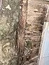 Help identify exterior wall board | &laquo; previous thread