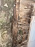 Help identify exterior wall board