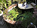 Soakaways in older properties. 
