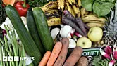 Third of farmed fruit and veg deemed 'too ugly to sell'  | next thread &raquo;