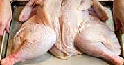 Turkey Magic  |  We had a large number of people over for the holiday (Saturnalia) yesterday.  We...