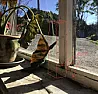 Conservatory temporary fix | &laquo; previous thread