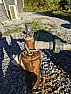 Leaking well? |     Well (!) I don't know about yours , but my submersible pump is  suspended...