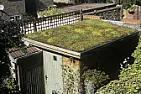 Shed living roof |  Yes.  Let's say the roof holds just water.  Water weighs 1 tonne per cubic...