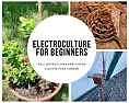 Electroculture? | &laquo; previous thread