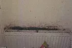 OT: A mouldy death in Rochdale | &laquo; previous thread