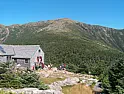 Staying alive when caught over night in freezing temperatures unprepared |  You see it at the fringe of the subalpine zone. Around here (northern  Rockies)...