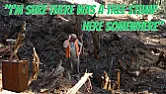 Tree stump removal in the 40's |  In alt.home.repair, on Fri, 9 Dec 2022 06:28:20 -0800 (PST), Dean Hoffman   ...