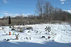 quiet winter times |  ...   i worm compost everything organic that comes through here. it's my...