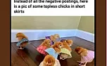 wolf whistling at chicks ... |  Two chaps from Southern Gas Networks were trying to find a branch point on the...