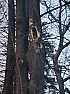 What happened to this tree? | next thread &raquo;