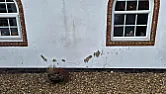 Emulsion-painting mortar rendering - how to stop paint peeling off after a year |  Our house is built of bricks which have a mortar rendering that is  painted...